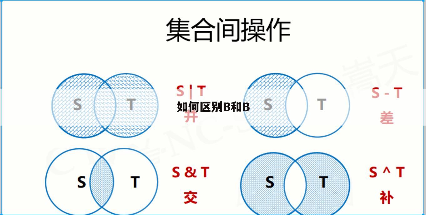 如何区别B和B