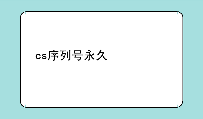 cs序列号永久激活