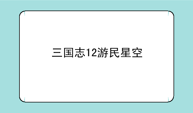 三国志12游民星空