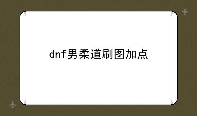 dnf男柔道刷图加点