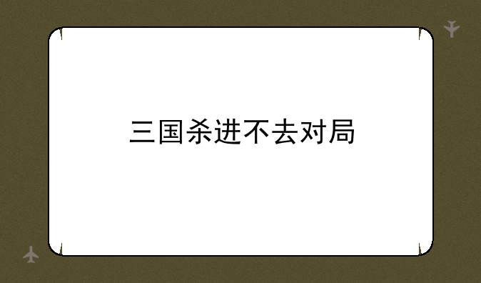 三国杀进不去对局