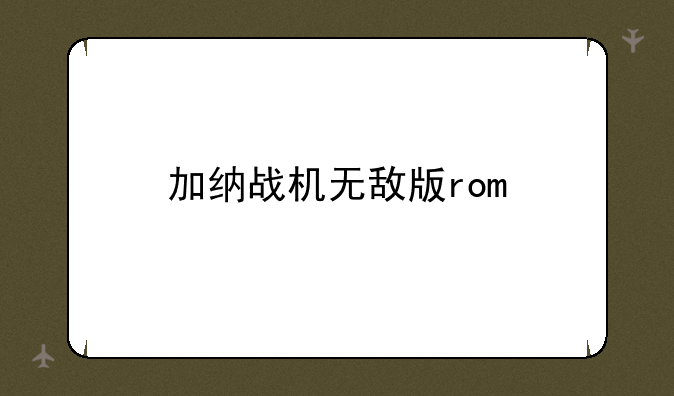 加纳战机无敌版rom