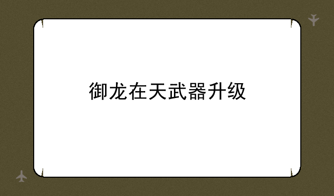 御龙在天武器升级