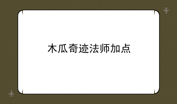 木瓜奇迹法师加点