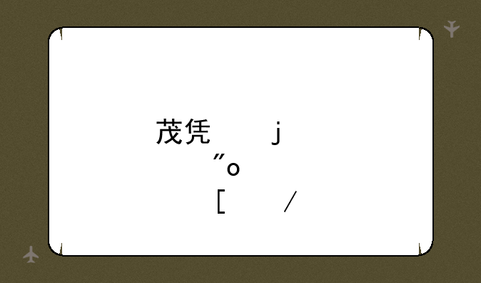 茂凯皮肤创世之神