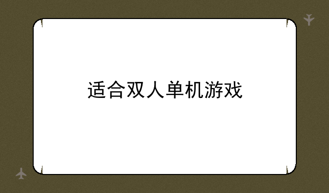 适合双人单机游戏