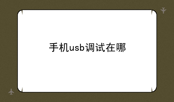 手机usb调试在哪