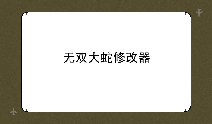 无双大蛇修改器