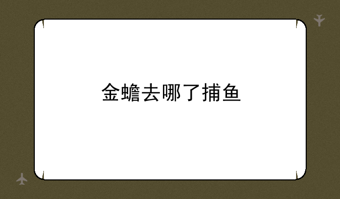 金蟾去哪了捕鱼