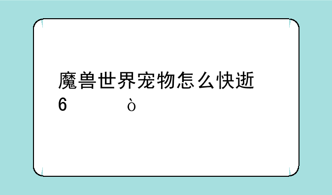 魔兽世界宠物怎么快速升级？
