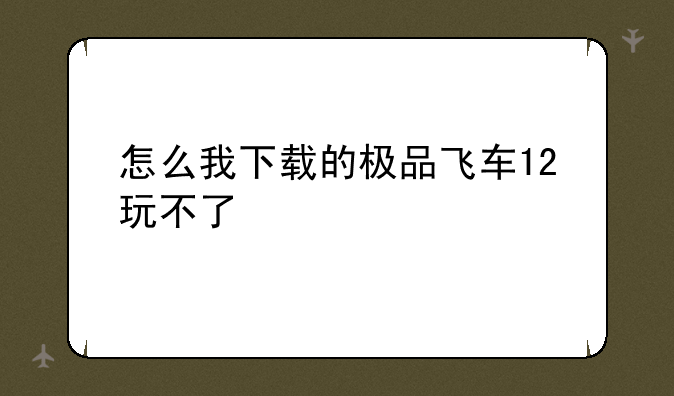 怎么我下载的极品飞车12玩不了