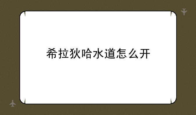 希拉狄哈水道怎么开