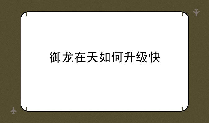 御龙在天如何升级快