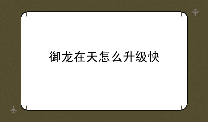 御龙在天怎么升级快