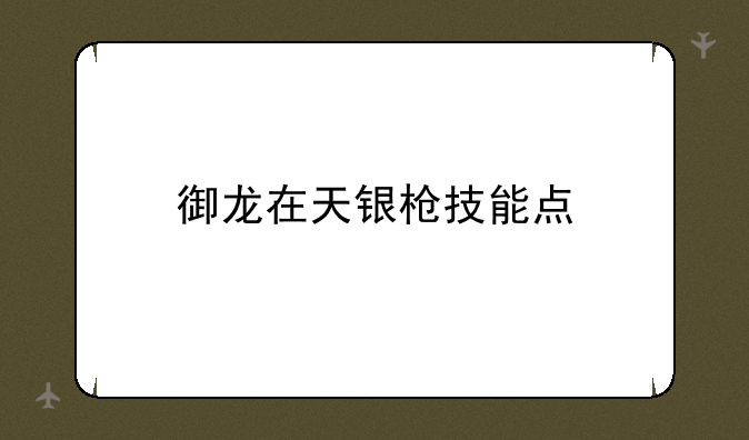 御龙在天银枪技能点