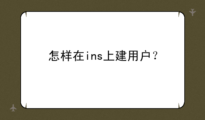 怎样在ins上建用户？