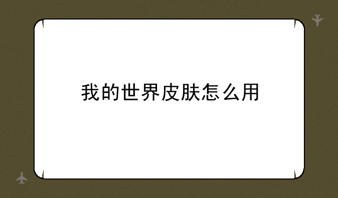 我的世界皮肤怎么用