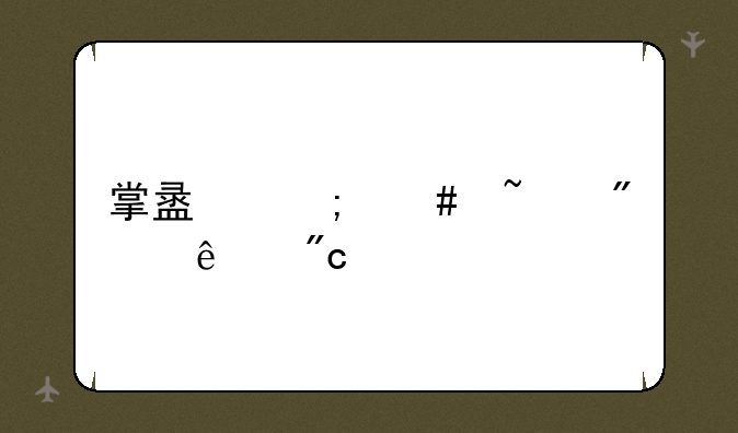 掌盟怎么查别人战绩