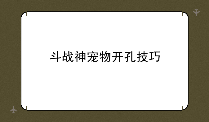 斗战神宠物开孔技巧