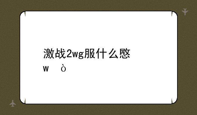 激战2wg服什么意思？
