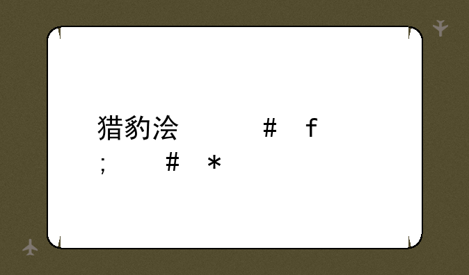 猎豹浏览器怎么抢票