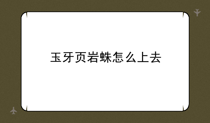 玉牙页岩蛛怎么上去