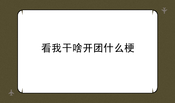 看我干啥开团什么梗