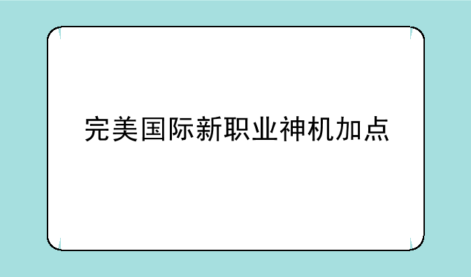 完美国际新职业神机加点