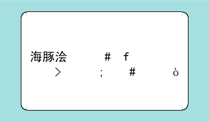 海豚浏览器公司怎么样？