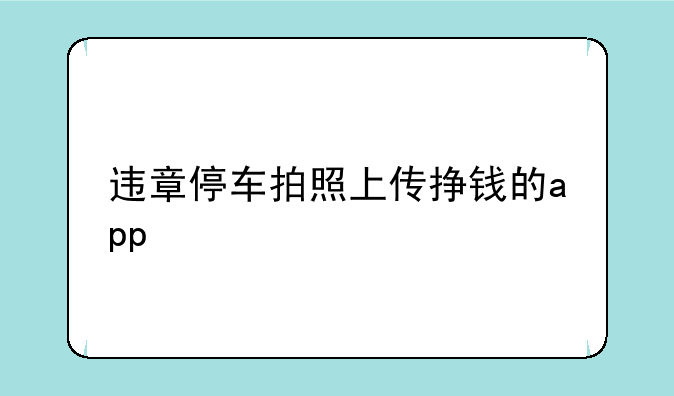 违章停车拍照上传挣钱的app