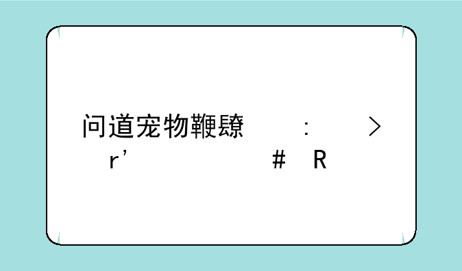 问道宠物鞭长莫及有什么用