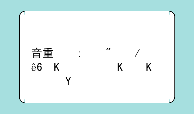 音量控制程序下载什么软件