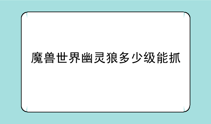 魔兽世界幽灵狼多少级能抓