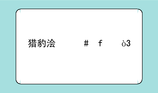 猎豹浏览器，打开好卡。怎么办？