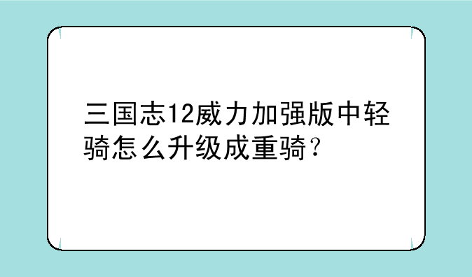 三国志12威力加强版中轻骑怎么升级成重骑？