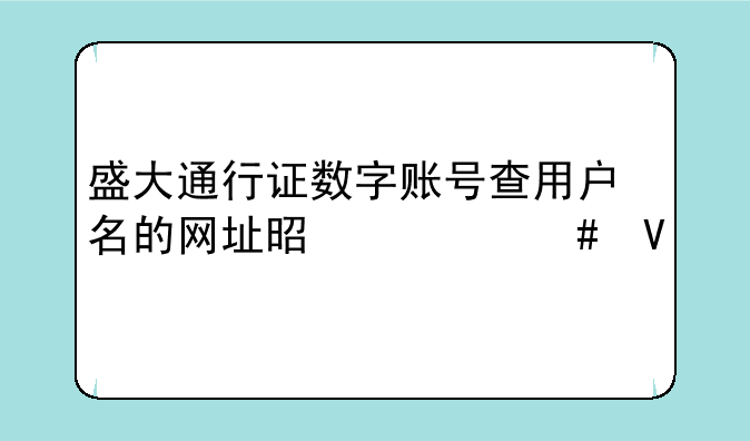 盛大通行证数字账号查用户名的网址是什么啊