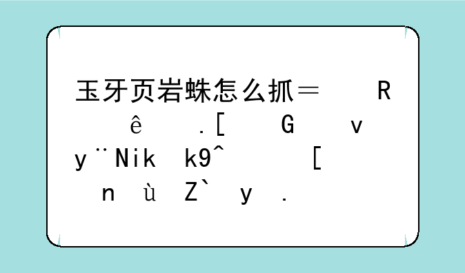 玉牙页岩蛛怎么抓？用了拖网速的方法，延迟都红了也照样下鸟。求指点