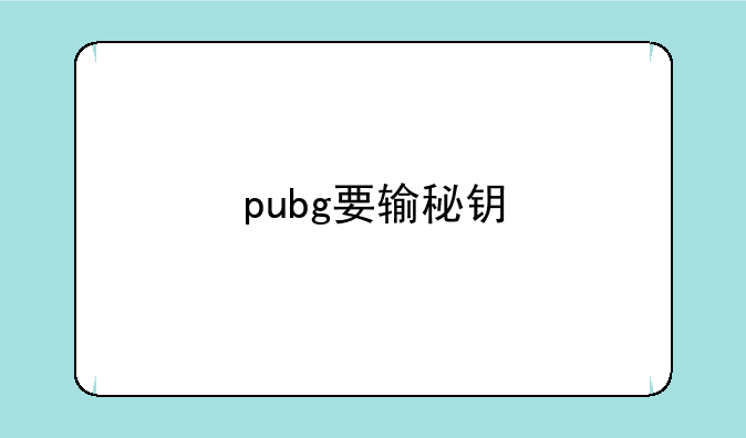 pubg要输秘钥