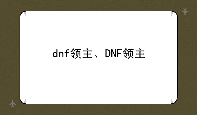 dnf领主、DNF领主