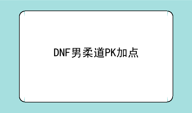 DNF男柔道PK加点