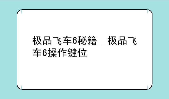 极品飞车6秘籍__极品飞车6操作键位