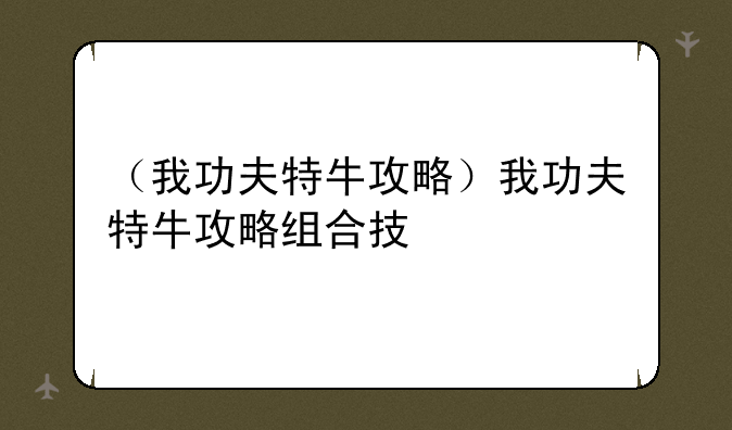 （我功夫特牛攻略）我功夫特牛攻略组合技