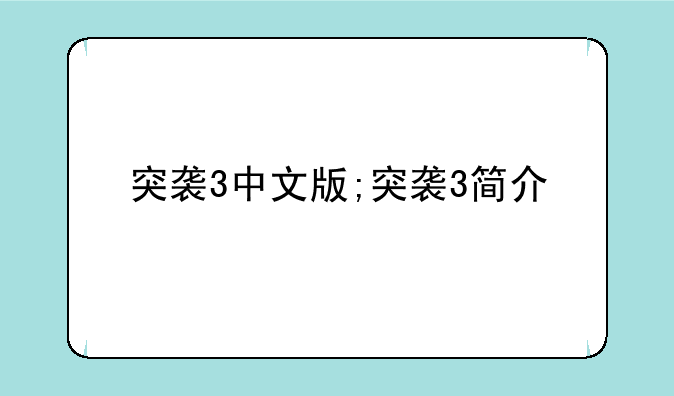 突袭3中文版;突袭3简介