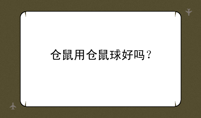 仓鼠用仓鼠球好吗？