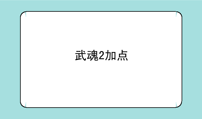 武魂2加点