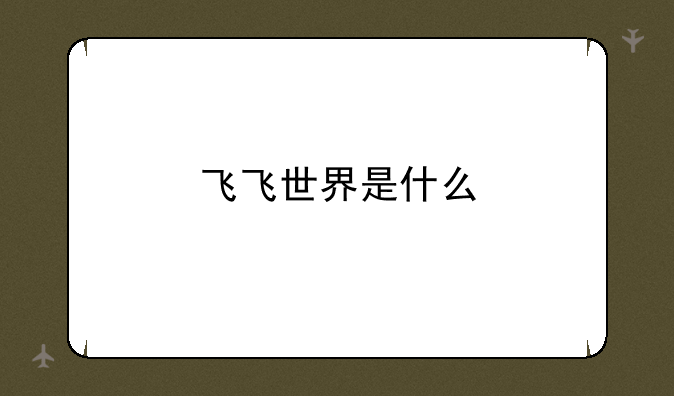 飞飞世界是什么