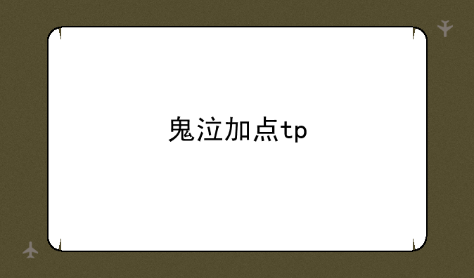鬼泣加点tp