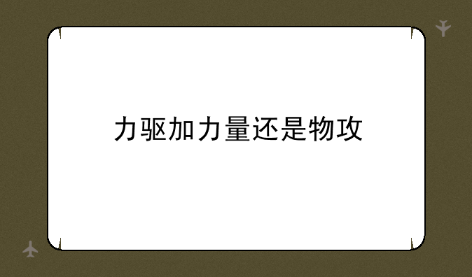 力驱加力量还是物攻